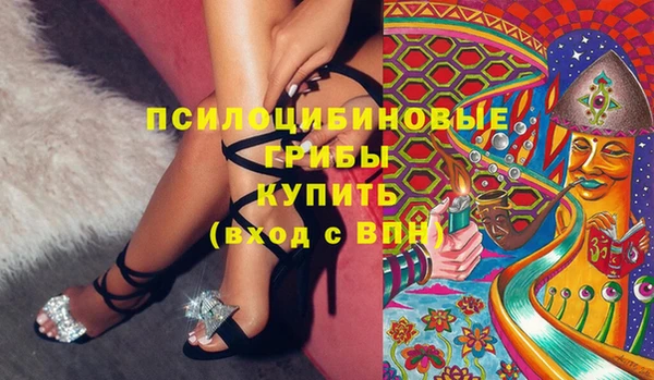 apvp Новозыбков