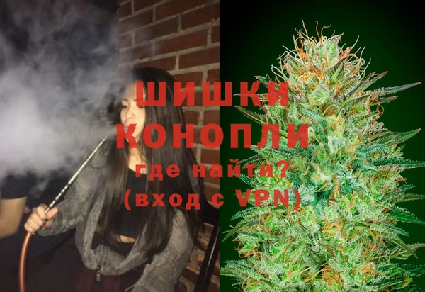 apvp Новозыбков